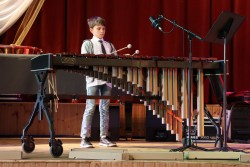 Koncert melodických nástrojů třídy Vojtěcha Šeminského