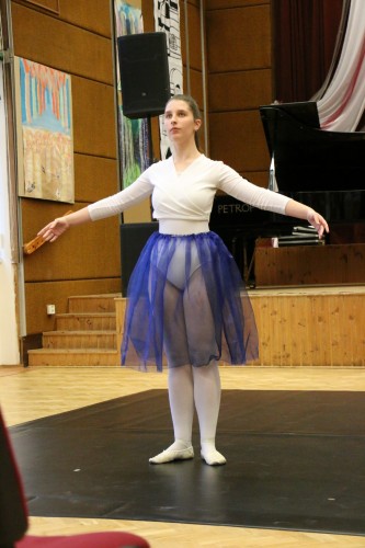 Image Description