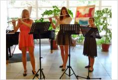 11. 6. 2015 - Koncert žáků třídy J. Christovové