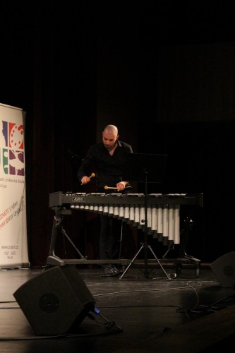 KONCERT UČITELŮ ZUŠ Česká Lípa