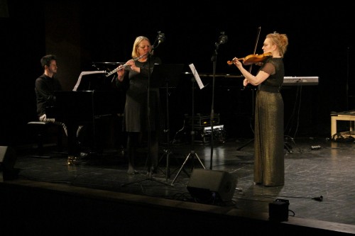 KONCERT UČITELŮ ZUŠ Česká Lípa