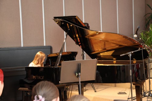 DUBNOVÝ KONCERT ŽÁKŮ