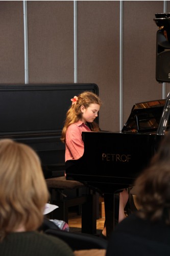 DUBNOVÝ KONCERT ŽÁKŮ