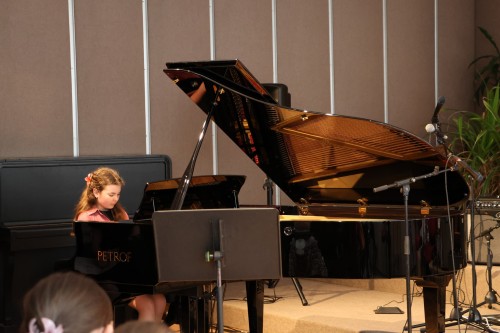 DUBNOVÝ KONCERT ŽÁKŮ