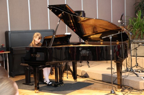 DUBNOVÝ KONCERT ŽÁKŮ