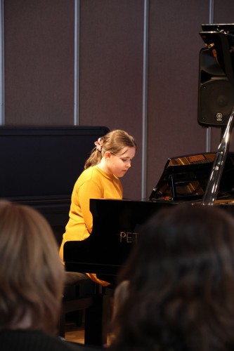 DUBNOVÝ KONCERT ŽÁKŮ