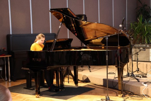 DUBNOVÝ KONCERT ŽÁKŮ