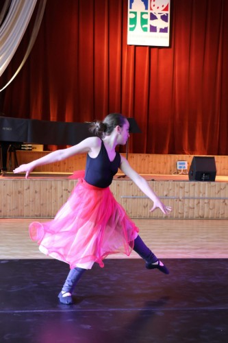 Vystoupení tanečního oboru