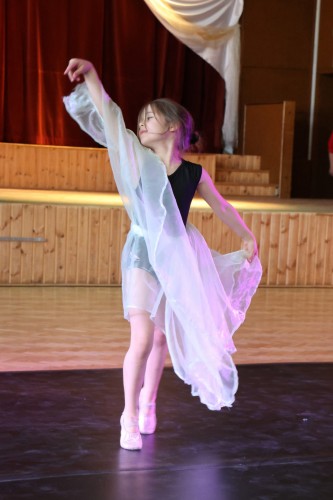 Vystoupení tanečního oboru