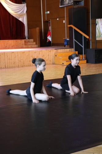 Vystoupení tanečního oboru