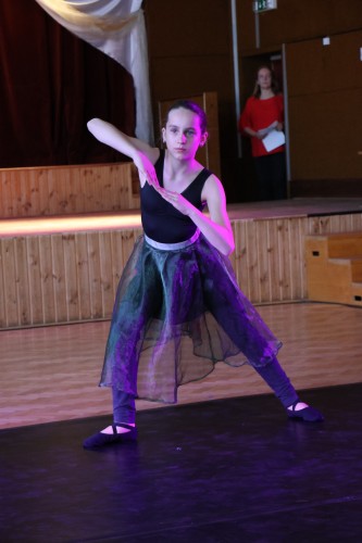 Vystoupení tanečního oboru