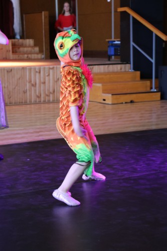 Vystoupení tanečního oboru