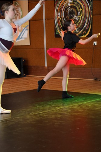 Vystoupení tanečního oboru