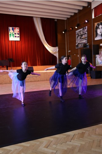 Vystoupení tanečního oboru