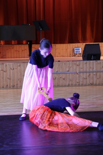 Vystoupení tanečního oboru