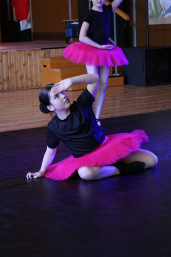 Vystoupení tanečního oboru