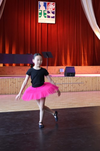 Vystoupení tanečního oboru