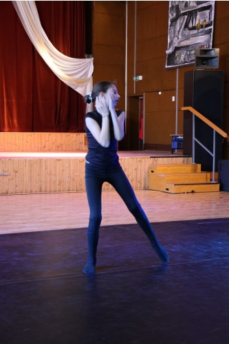 Vystoupení tanečního oboru