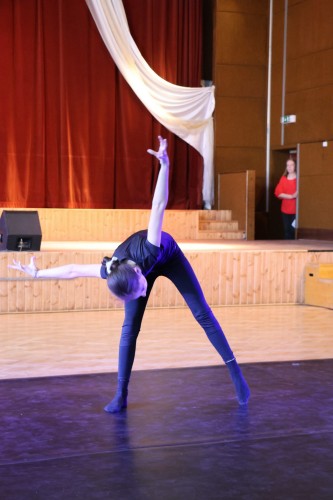 Vystoupení tanečního oboru