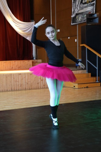 Vystoupení tanečního oboru