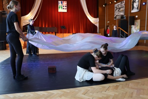 Vystoupení tanečního oboru