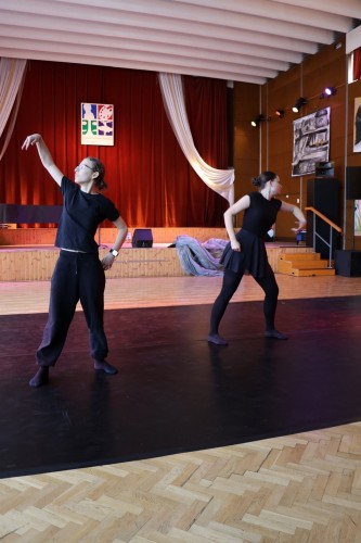 Vystoupení tanečního oboru