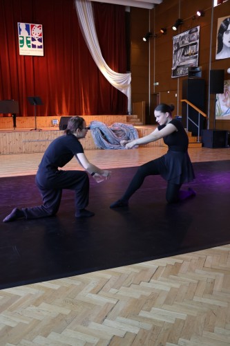 Vystoupení tanečního oboru