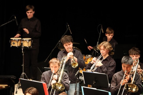 Vystoupení na GALAVEČERU HC Česká Lípa