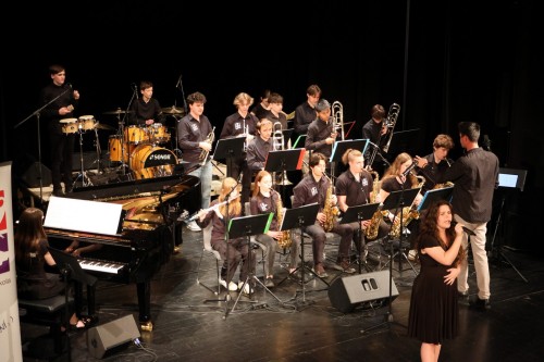 Vystoupení na GALAVEČERU HC Česká Lípa