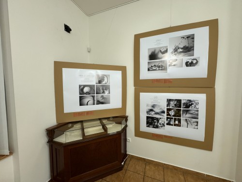 Vernisáž PUTOVNÍ GALERIE 2025/2026 - Cvikov