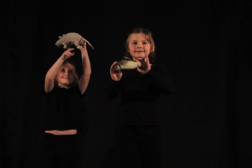 Krajské kolo soutěžní přehlídky UR ZUŠ a MŠMT - LDO - kolektivní projev